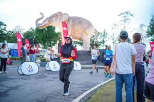 BIB: 
                            <button type="button" onclick="openModal(26551642)" class="btn btn-primary btn-sm float-right btn-popup" data-toggle="modal" data-target=".modal-high-quality">
                        <i class="fas fa-shopping-cart"></i> Add to Cart
                    </button>
                                            <button type="button" onclick="isThisMe(26551642, true)" class="btn btn-success btn-sm float-right btn-popup btn-isme hidden" data-toggle="tooltip" data-placement="bottom" title="นี่คือรูปของคุณใช่ไหม คลิกที่นี่เพื่อเอาเข้าอัลบั้ม">
                        <i class="fas fa-plus"></i> Add to album
                    </button>
                    <button type="button" onclick="isThisMe(26551642, false)" class="btn btn-warning btn-sm float-right btn-popup btn-isnotme hidden">
                        <i class="fas fa-ban"></i> Remove from album
                    </button>